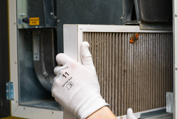 Best Emergency Air Duct Cleaning  in Licking, MO
