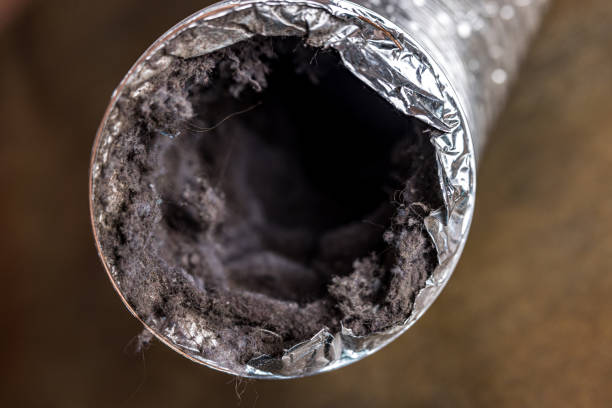 Best Professional Duct Cleaning Services  in Licking, MO