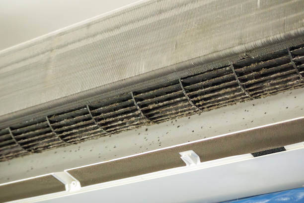 Best Ventilation Cleaning Services  in Licking, MO