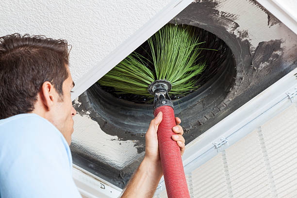 Best Emergency Air Duct Cleaning  in Licking, MO